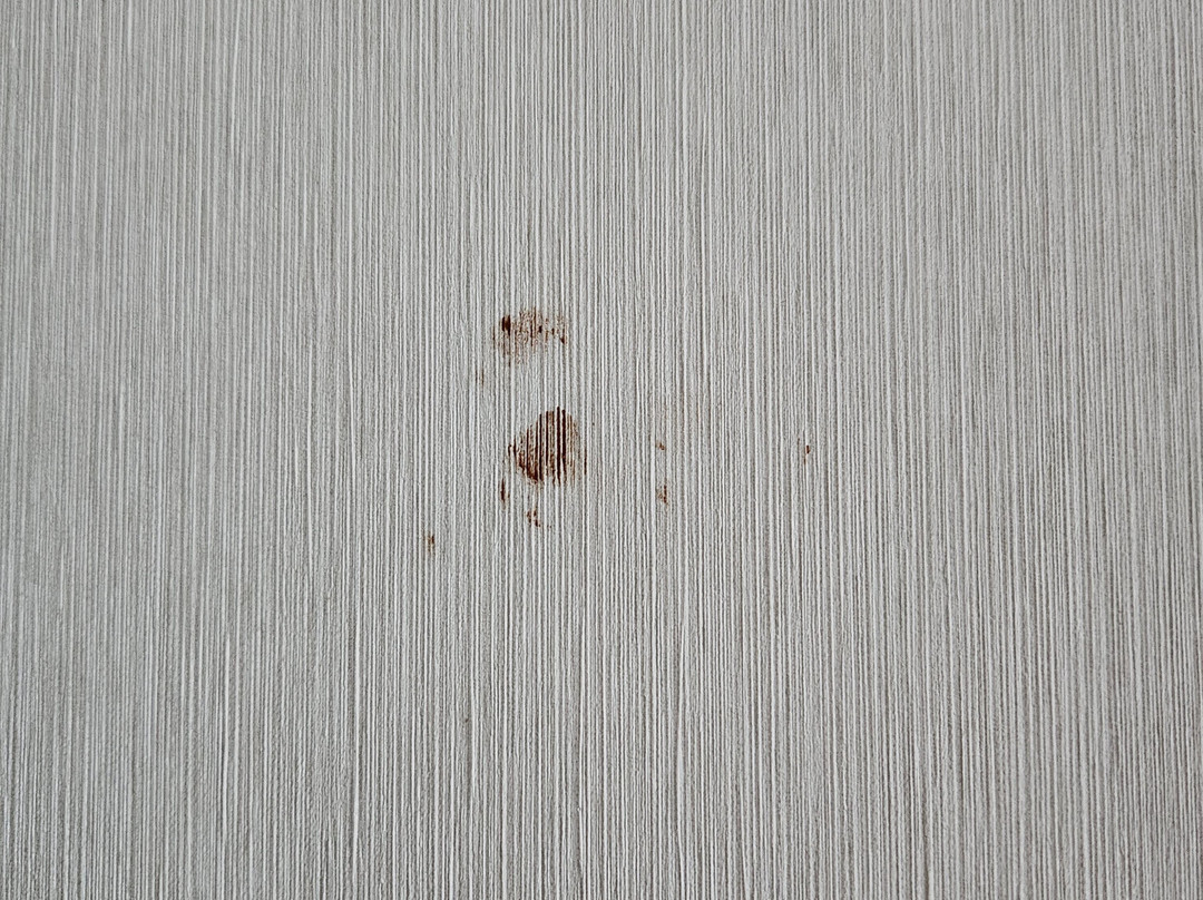 阿普尔顿希尔顿逸林酒店主图