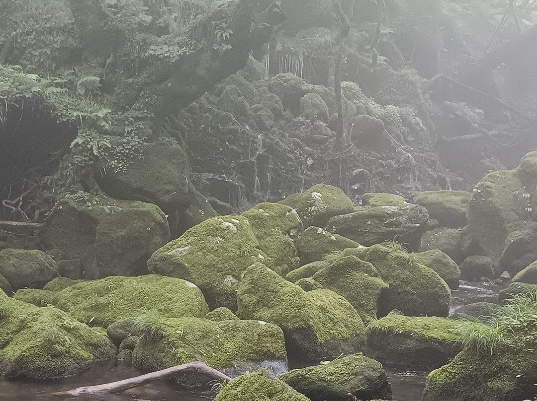 Mototakifukuryusui-仁贺保市必去景点