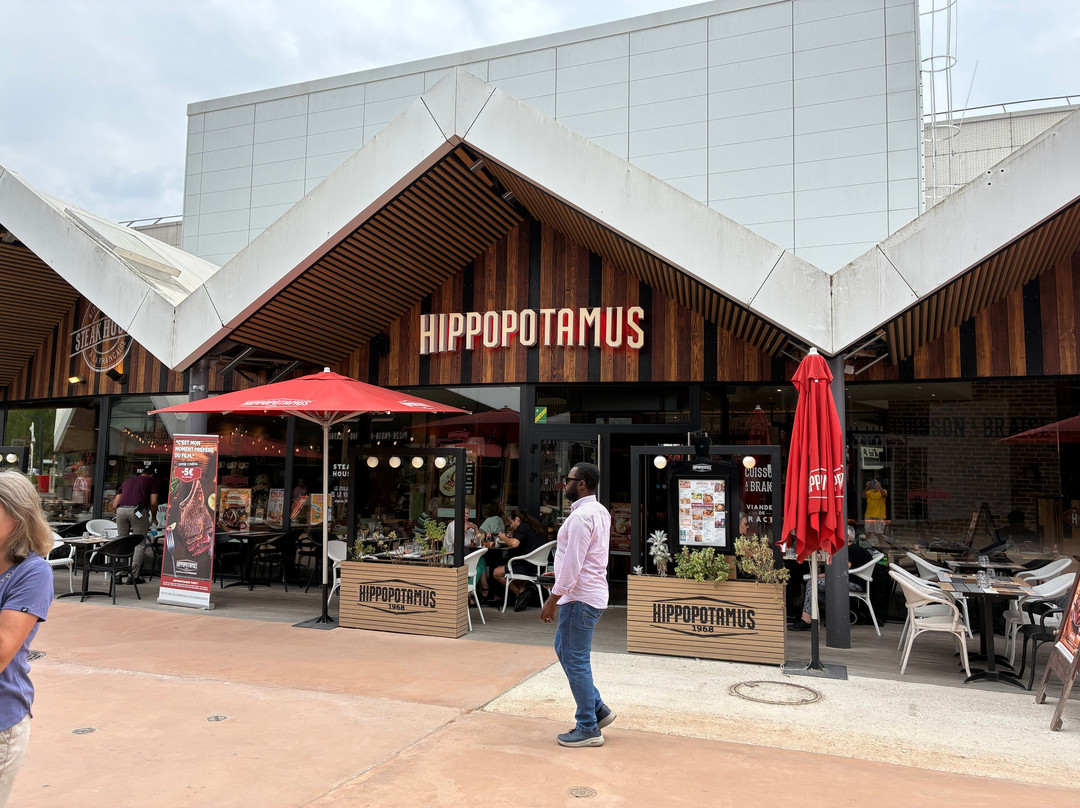 Hippopotamus Torcy
