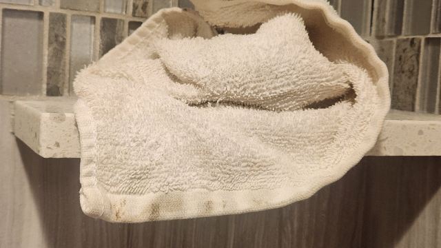 布法罗大道贝斯特韦斯特酒店-旅行者