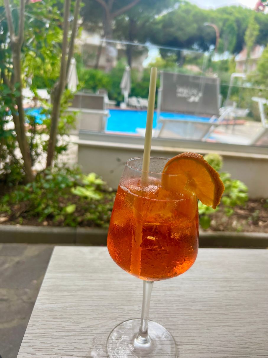 席勒酒店-旅行者