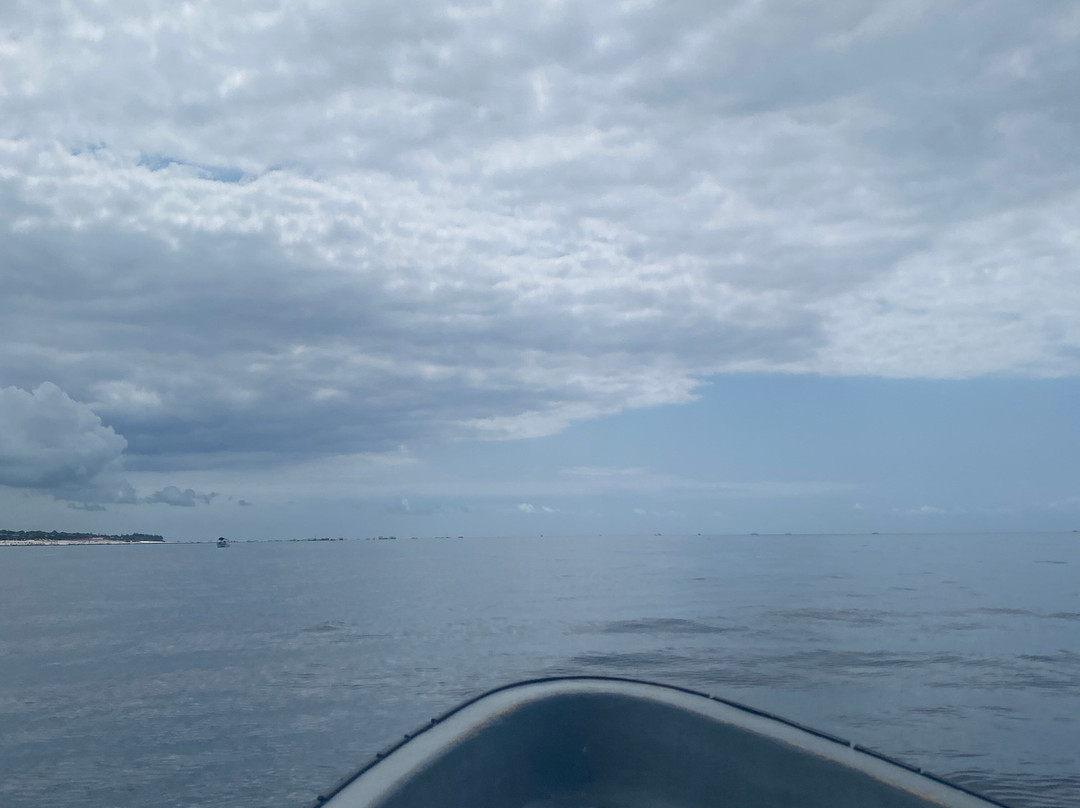 Suley Taxi Driver Zanzibar and Tours-孥归必去景点