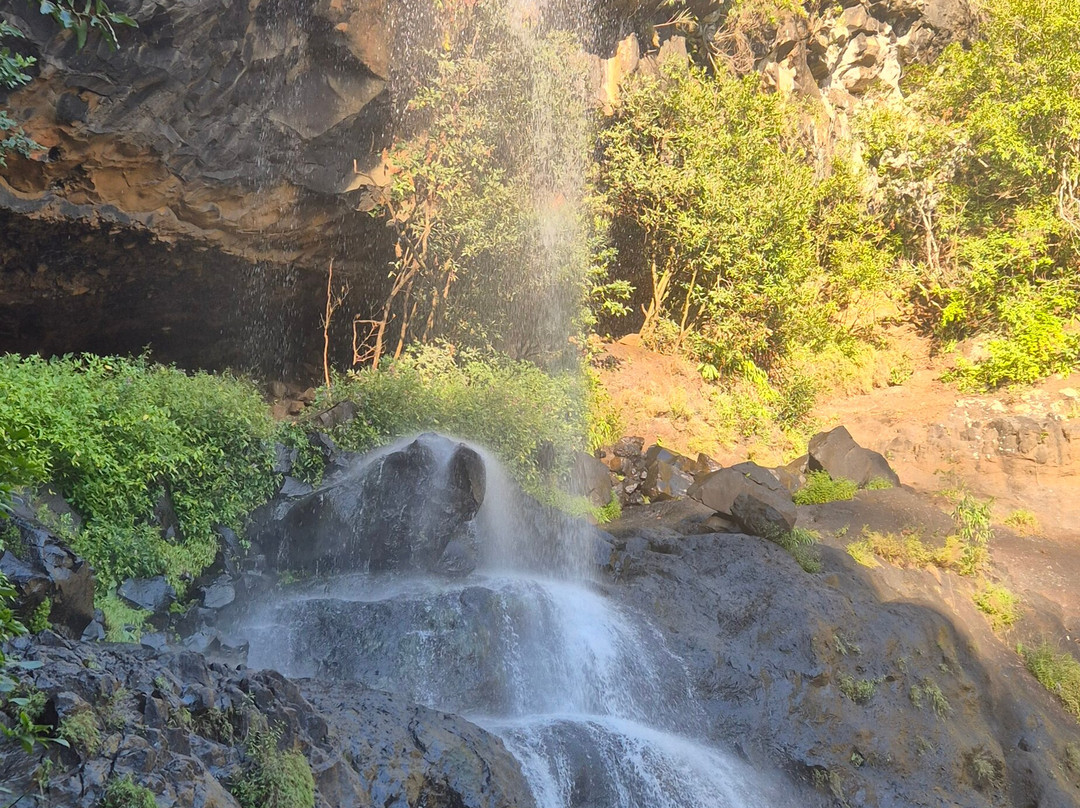 Tamarin Falls-Vacoas-Phoenix必去景点