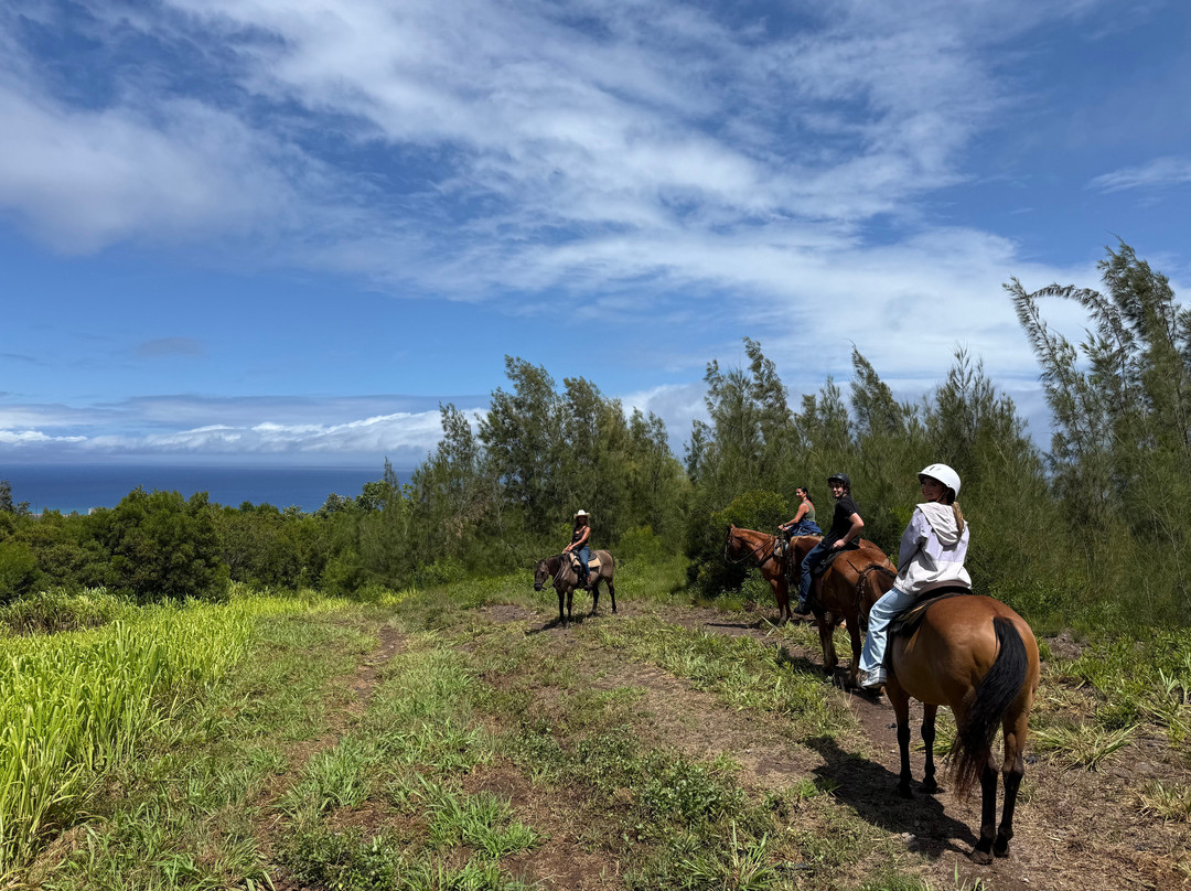 Ironwood Ranch-Napili-Honokowai必去景点