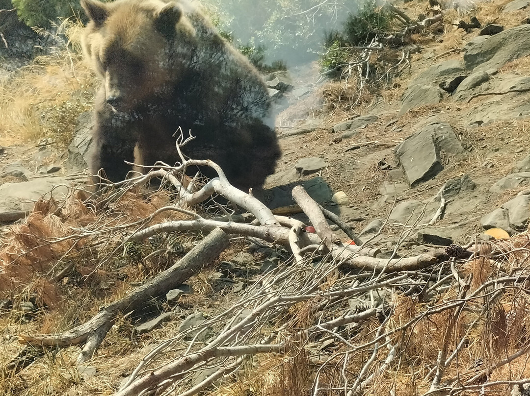 EcoZonia - Parc Animalier-Cases de Pene必去景点