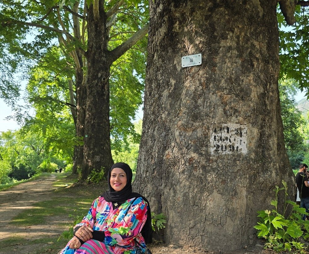 Nishat Garden-斯利那加必去景点