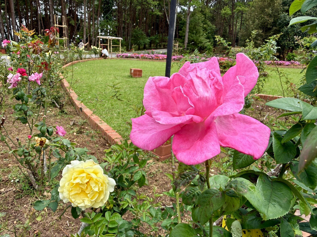 Khao Kho Royal Palace-考柯县必去景点