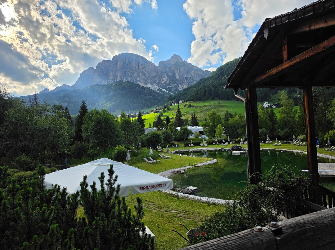 Bar al Lago