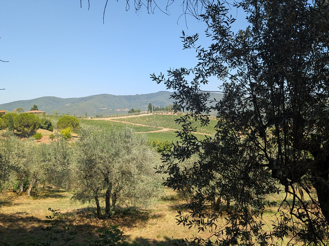 Podere Bucine Winery-格雷韦伊恩基亚恩蒂必去景点
