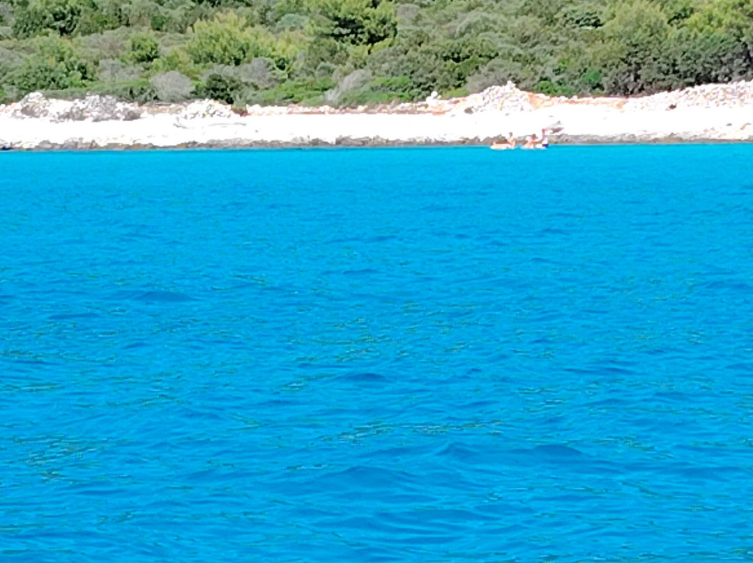 Feel Adriatic Nature Boat Tours Zadar-扎达尔必去景点