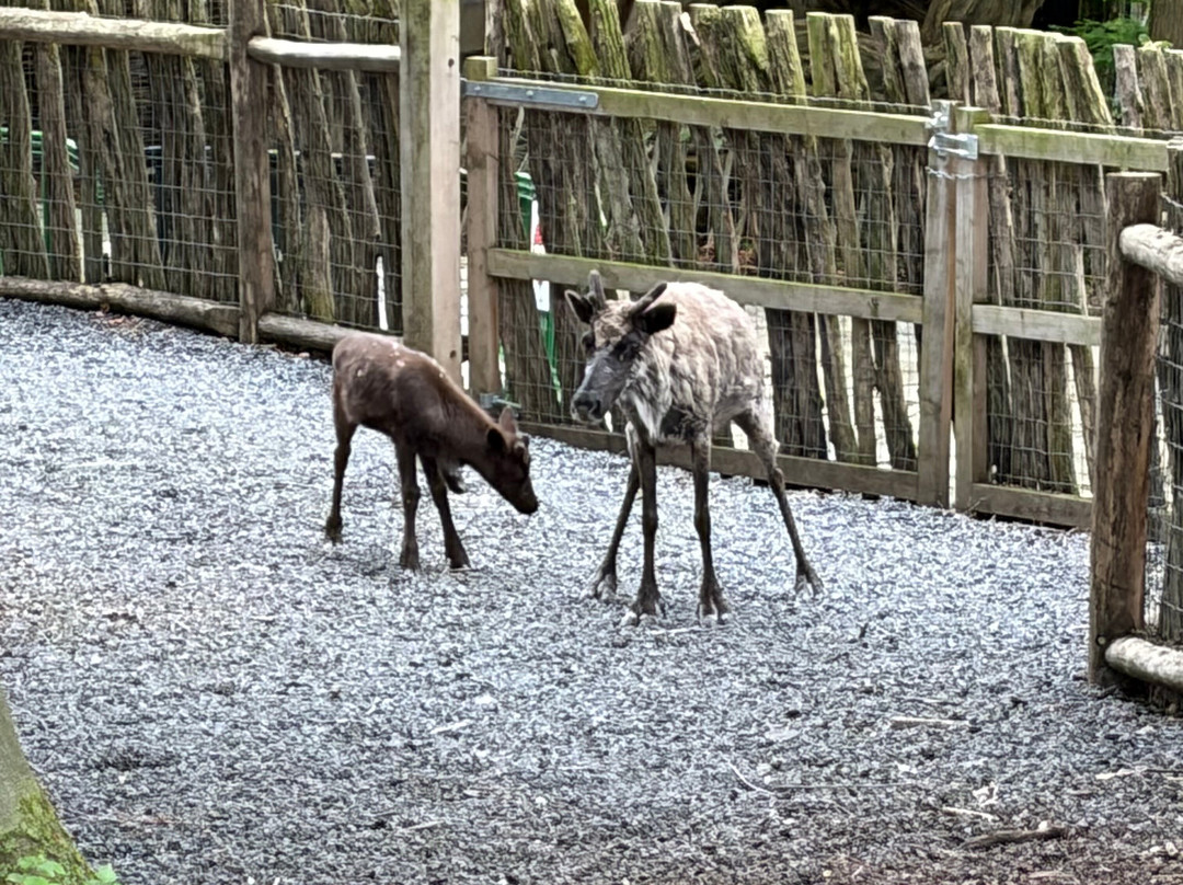 Pairi Daiza Resort主图