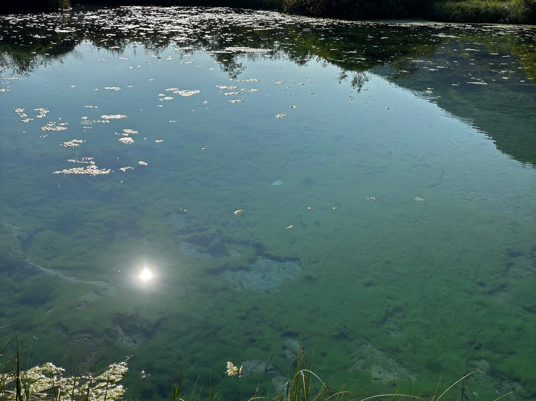 Zelenci Nature Reserve-Kranjska Gora必去景点