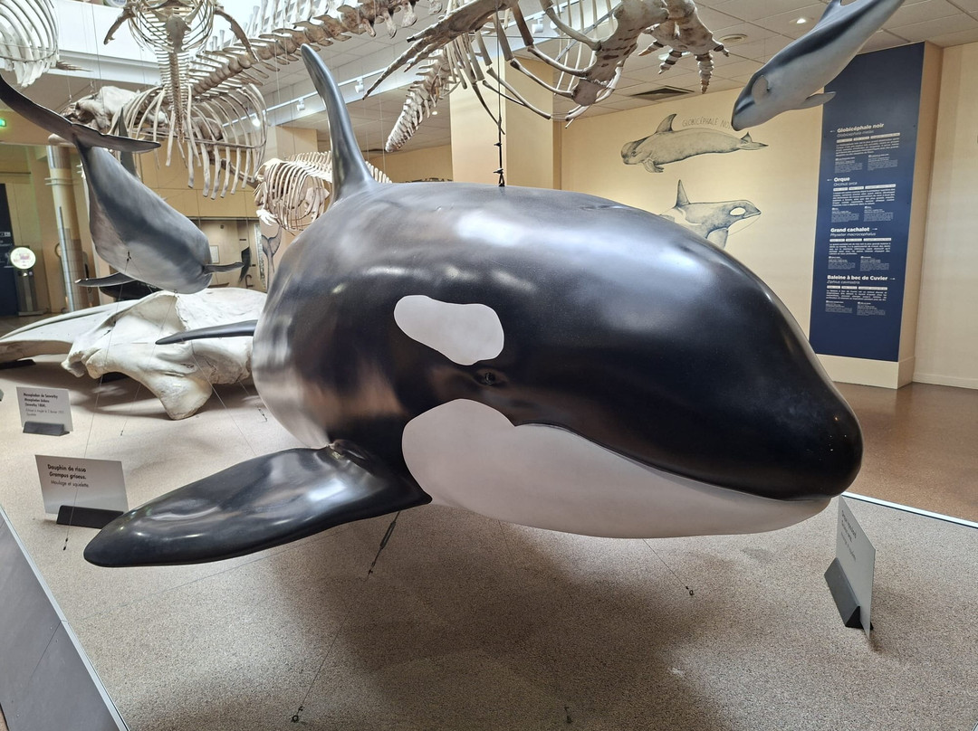 Aquarium de Biarritz-比亚里茨必去景点