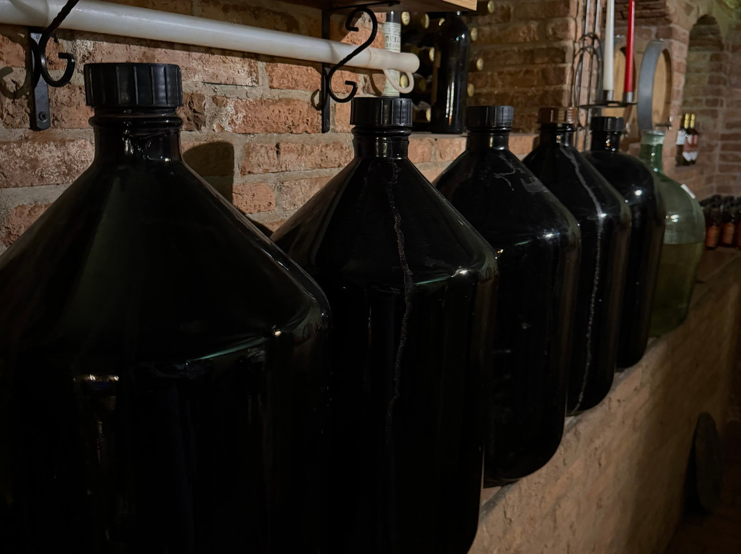 Vazha Davitadze's Winemaking and Wine Cellar-巴统必去景点