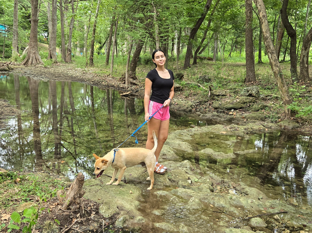 Cypress Creek Cottages主图