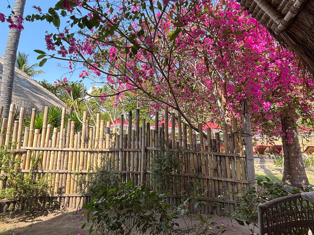 Amahelia Luxury Resort & Restaurant - Gili Asahan主图