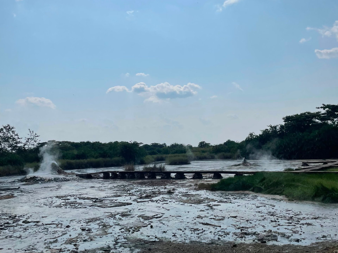 African Jungle Tours and Travel-坎帕拉必去景点