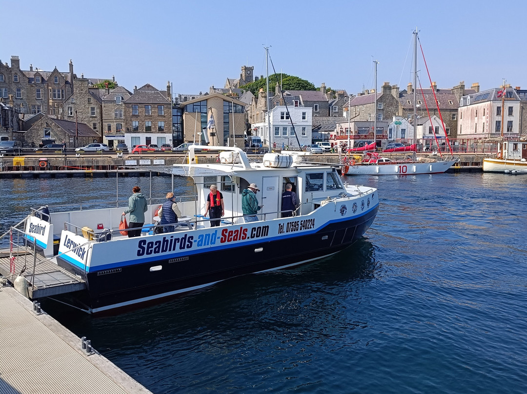 Seabirds and Seals - The Original Noss Boat Tours-Lerwick必去景点