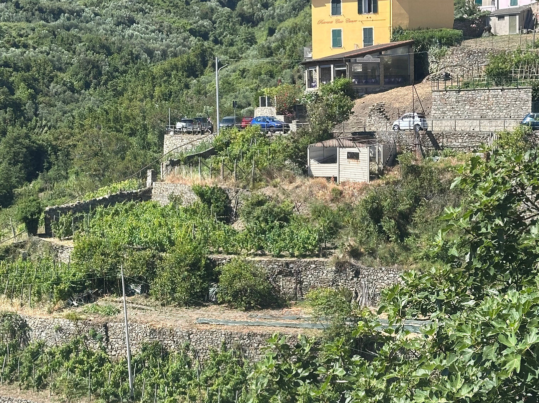My Tuscan Style Tours-里窝那必去景点