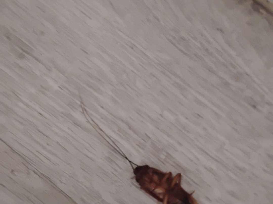 哈利森温德姆华美达酒店主图