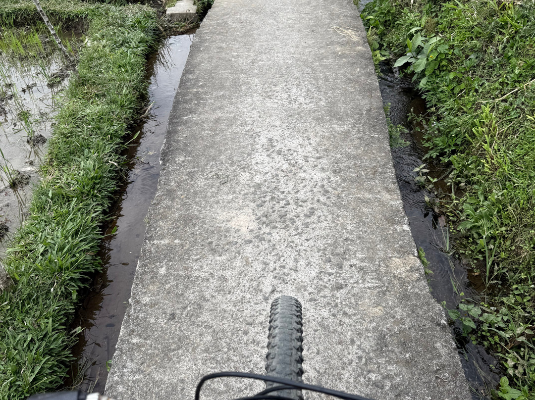 Bali Fun Bike Adventure-Pejeng Kaja必去景点