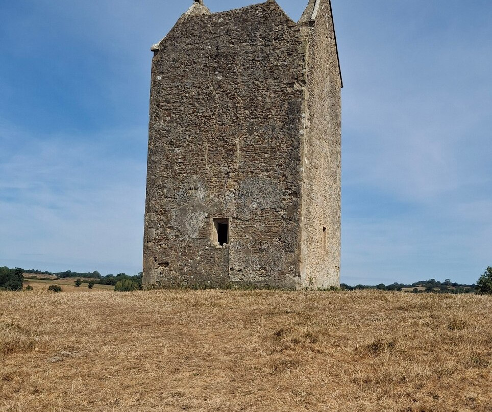 Bruton Dovecote-Bruton必去景点