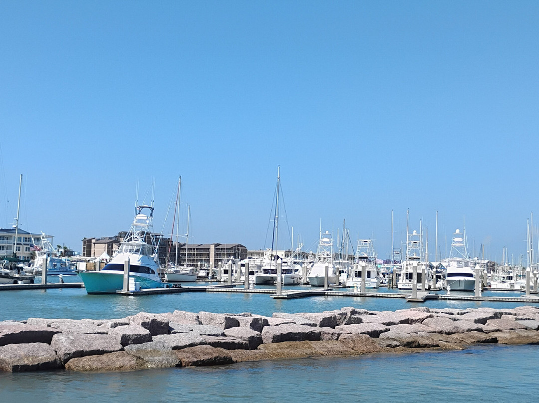 San Jose Island-阿兰瑟斯港必去景点