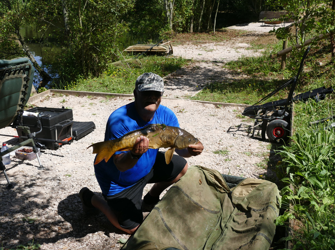 Luccombes Coarse Fishery-Exminster必去景点