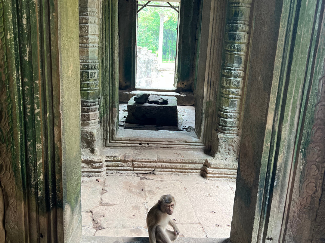 Angkor en Espanol-暹粒必去景点