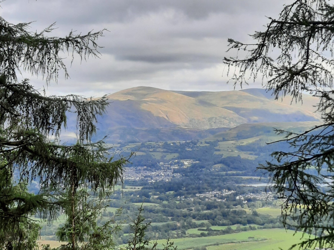 Whinlatter Forest-Braithwaite必去景点