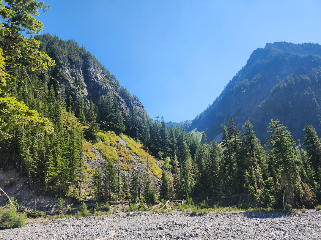 Mount Rainier National Park-阿什福德必去景点