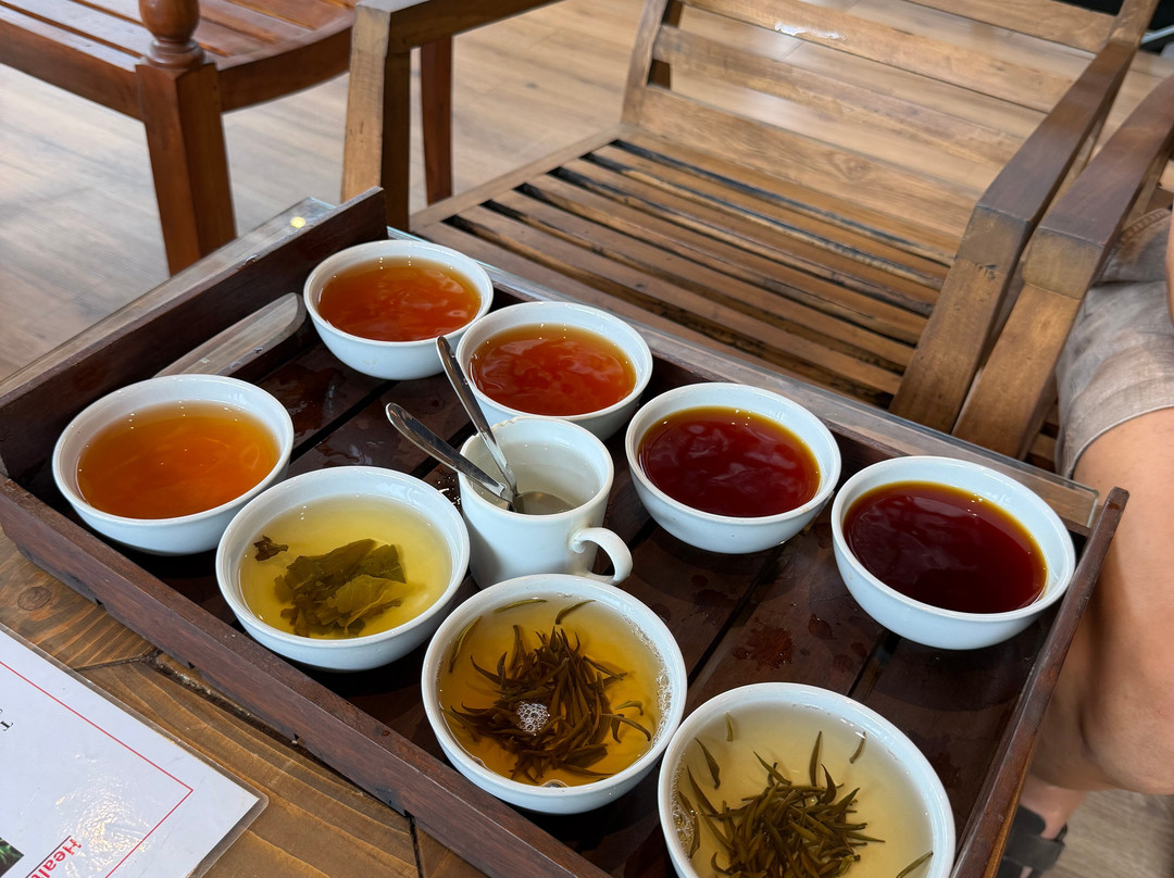 Ceylon Safari Holiday-Ratmalana必去景点