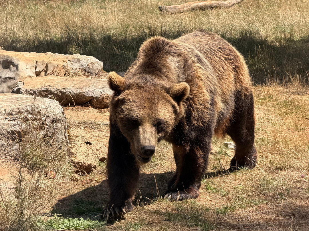 Parc Animalier De Gramat-Gramat必去景点