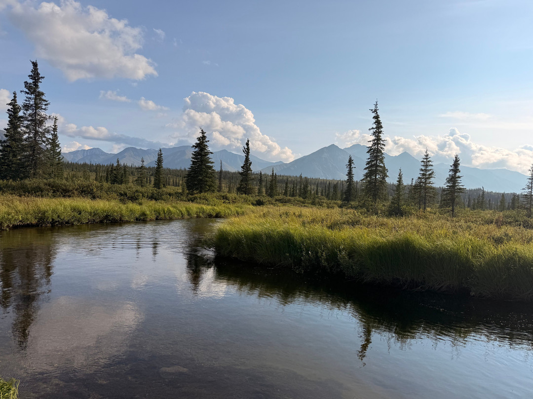 Denali Fly Fishing Guides-坎特维尔必去景点