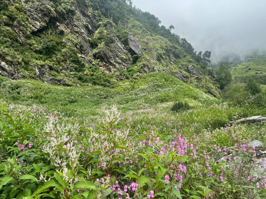 Himalaya Shelter-阿姆利则必去景点