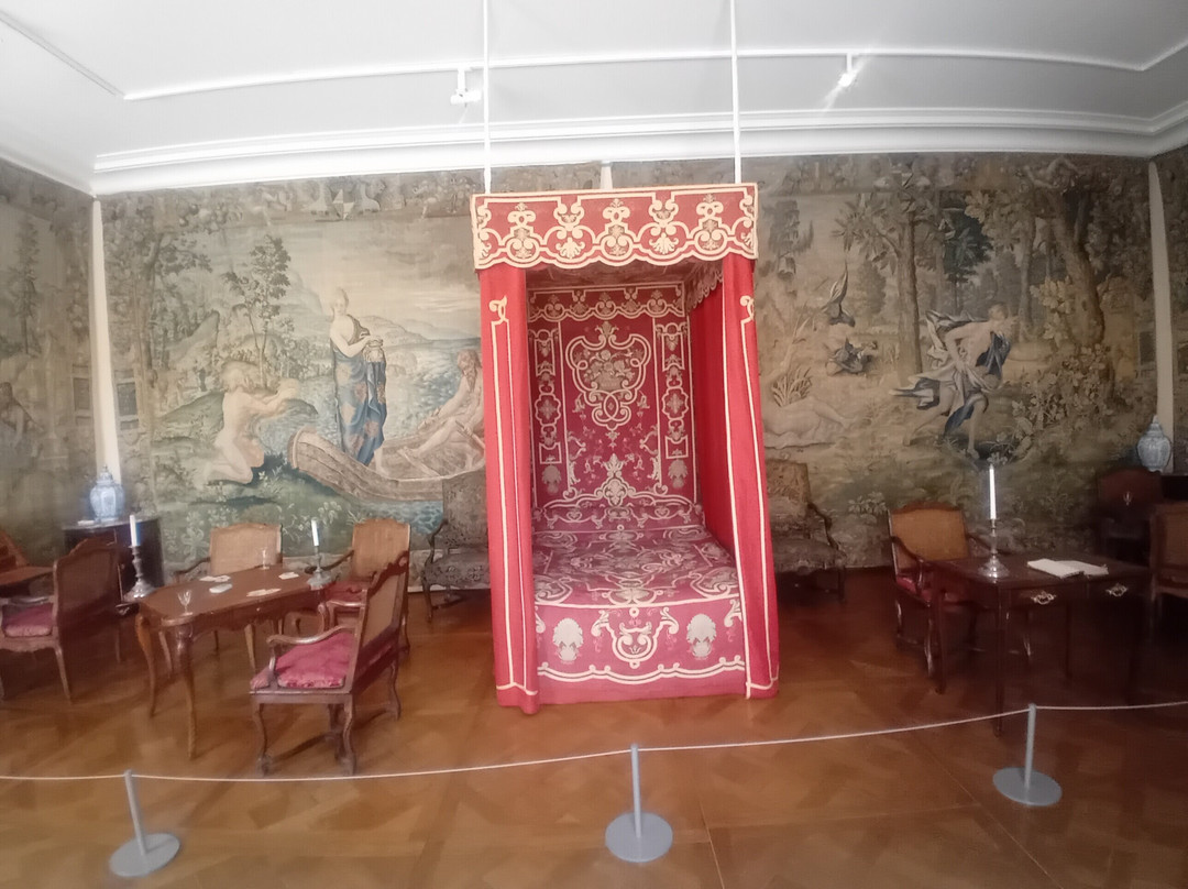 Château de Sully-sur-Loire-Sully-sur-Loire必去景点