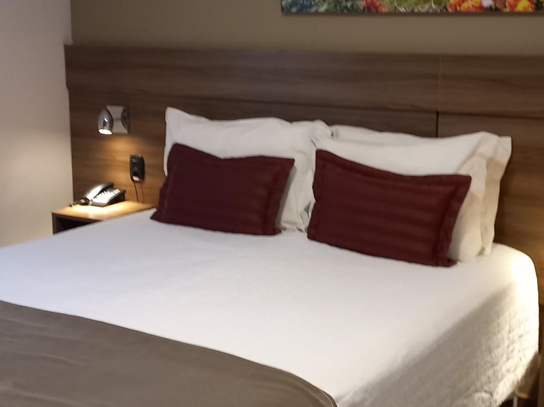 Hotel Fioreze Centro主图