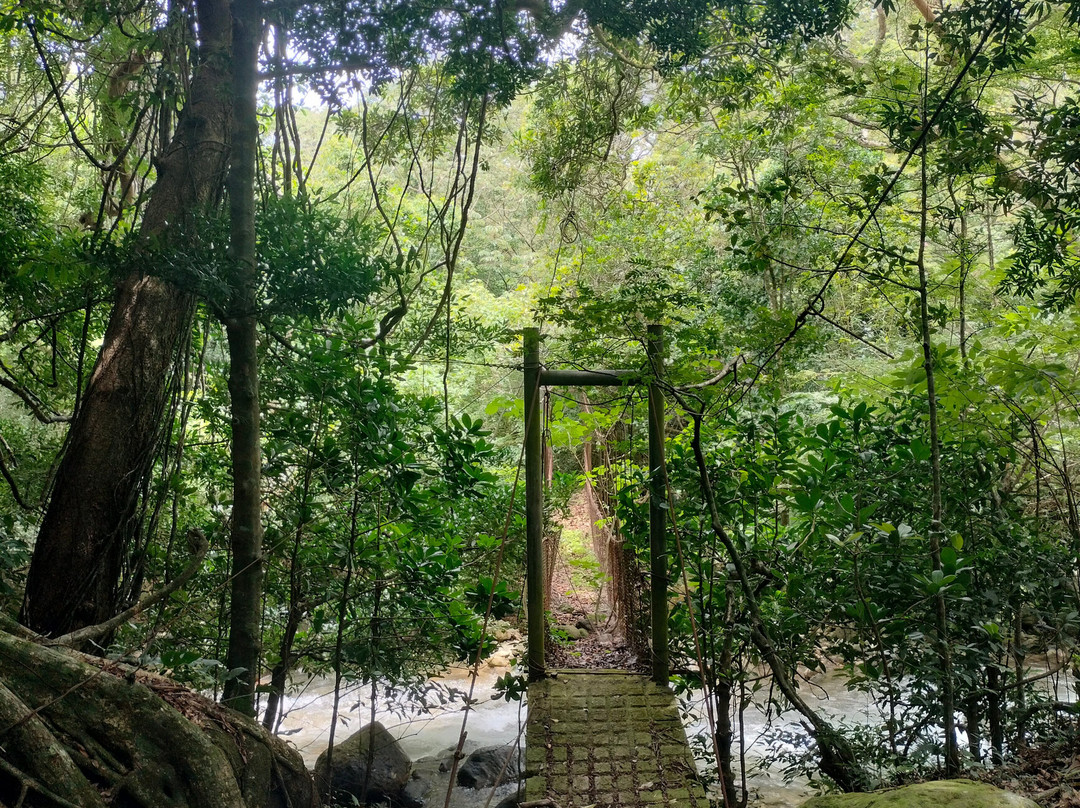 Parque Nacional Rincón de la Vieja-瓜纳卡斯特省必去景点