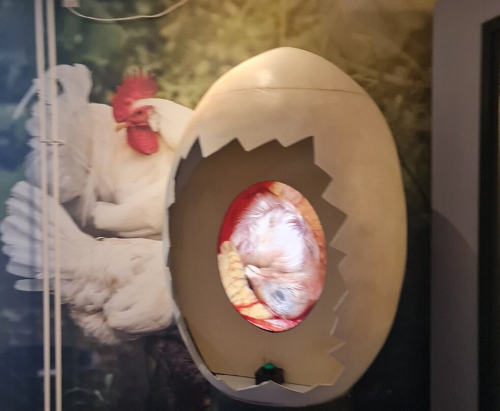 Natuurmuseum Fryslan-吕伐登必去景点