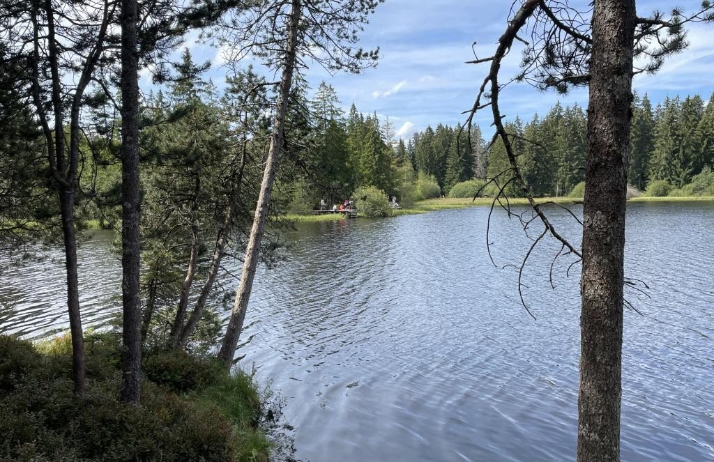 Etang de la Gruère-Saignelégier必去景点
