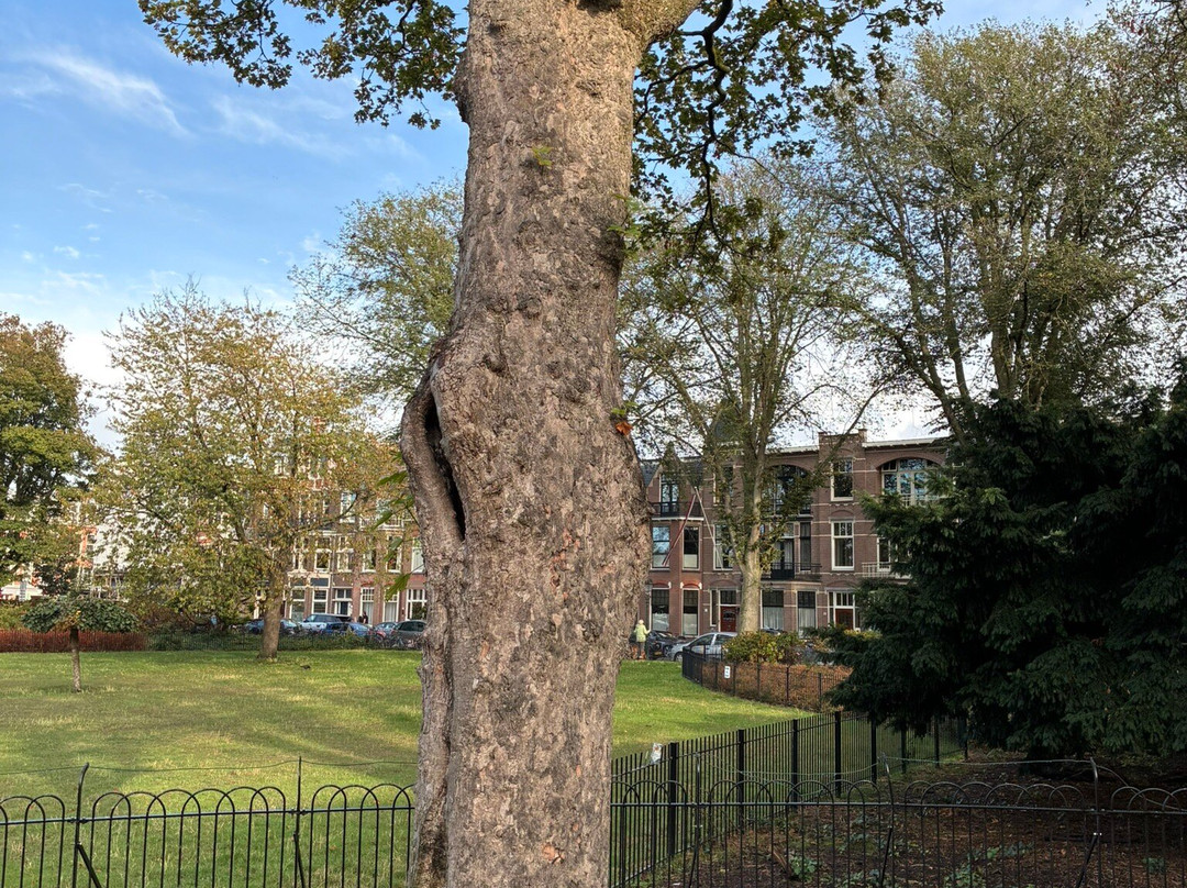 Frederik Hendrikplein