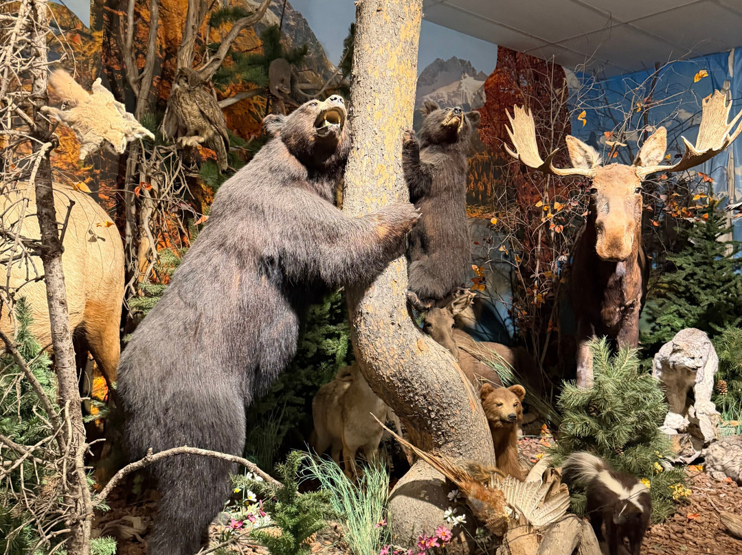 Yellowstone Trading Post-库克城必去景点
