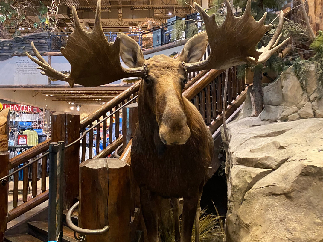 Bass Pro Shops Outdoor World-塞维尔维尔必去景点