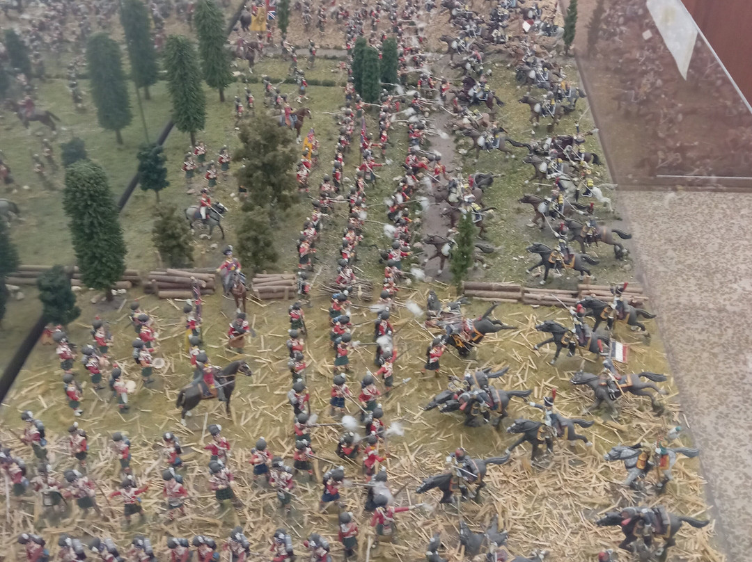 Museo Storico dell'Arma di Cavalleria-Pinerolo必去景点