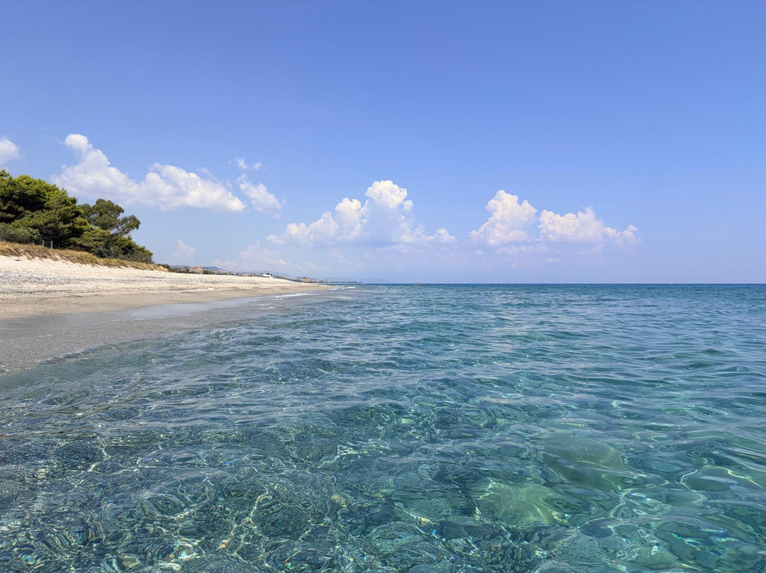 Calalandrusa Beach Resort主图