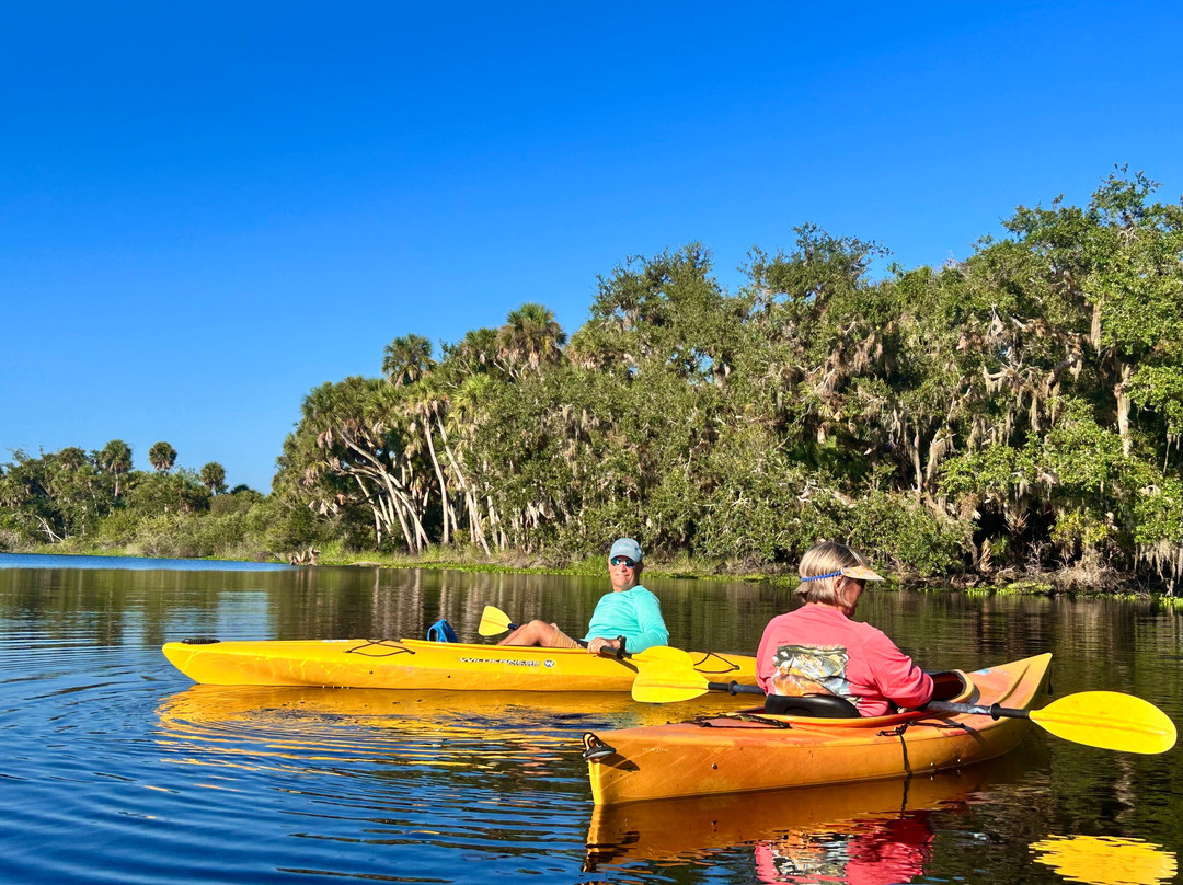 Myakka River State Park-萨拉索塔必去景点