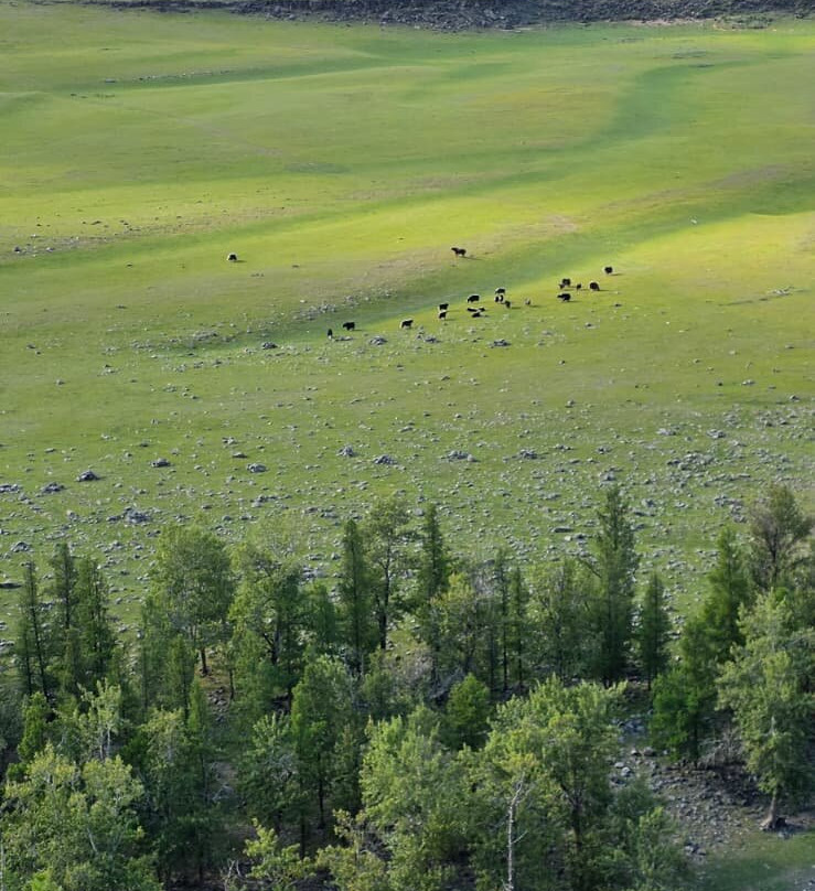Sunpath Mongolia-乌兰巴托必去景点