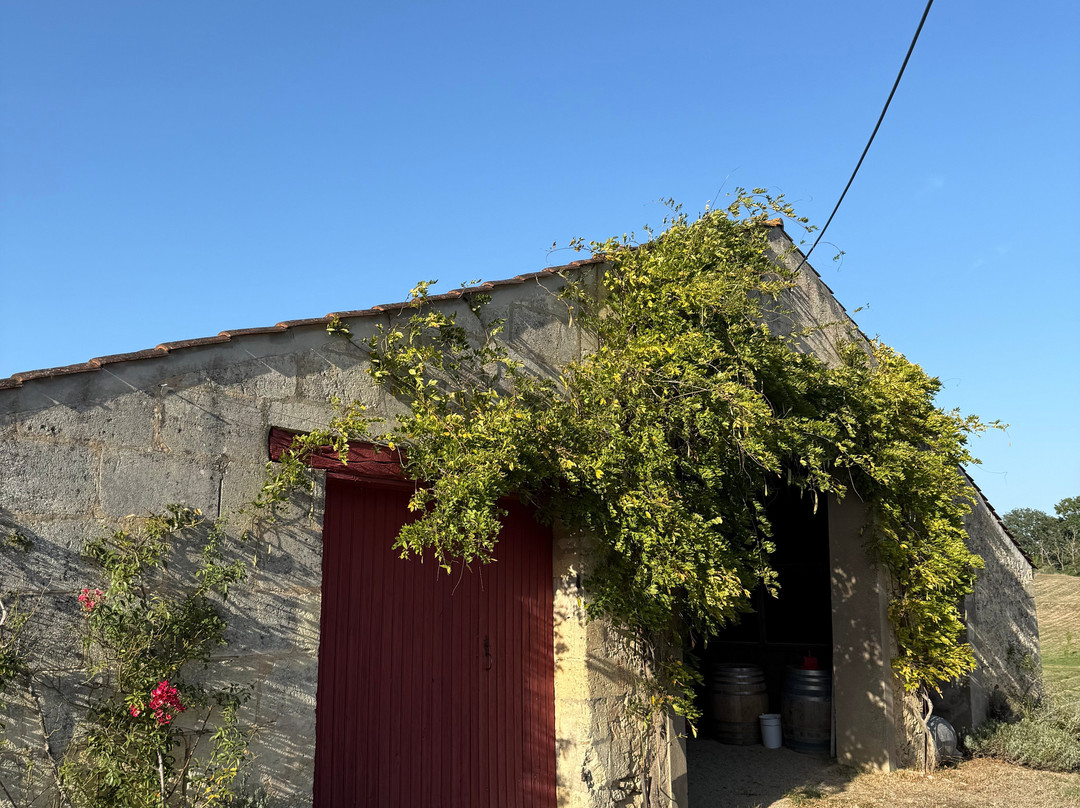 Chateau Monconseil-Gazin-Plassac必去景点