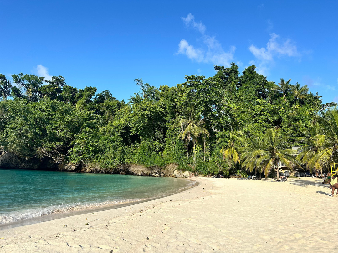 Travel Jamaica Tours-奥乔里奥斯必去景点