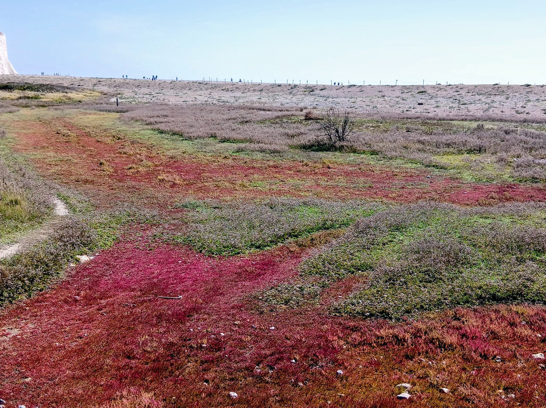 Saltmarsh Farmhouse主图